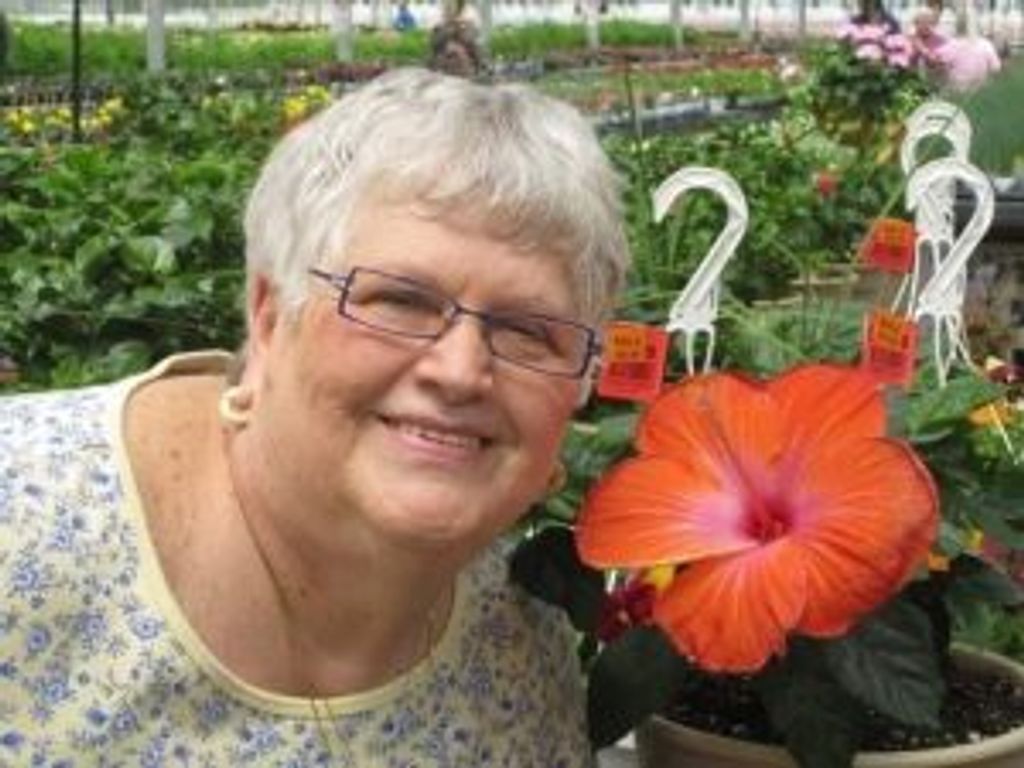 Suzanne Neuman