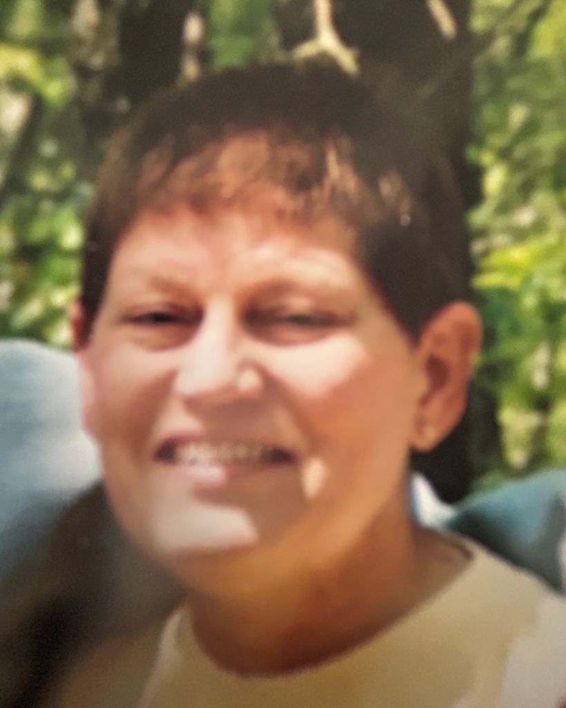 Judy Lynn Mohr Profile Photo