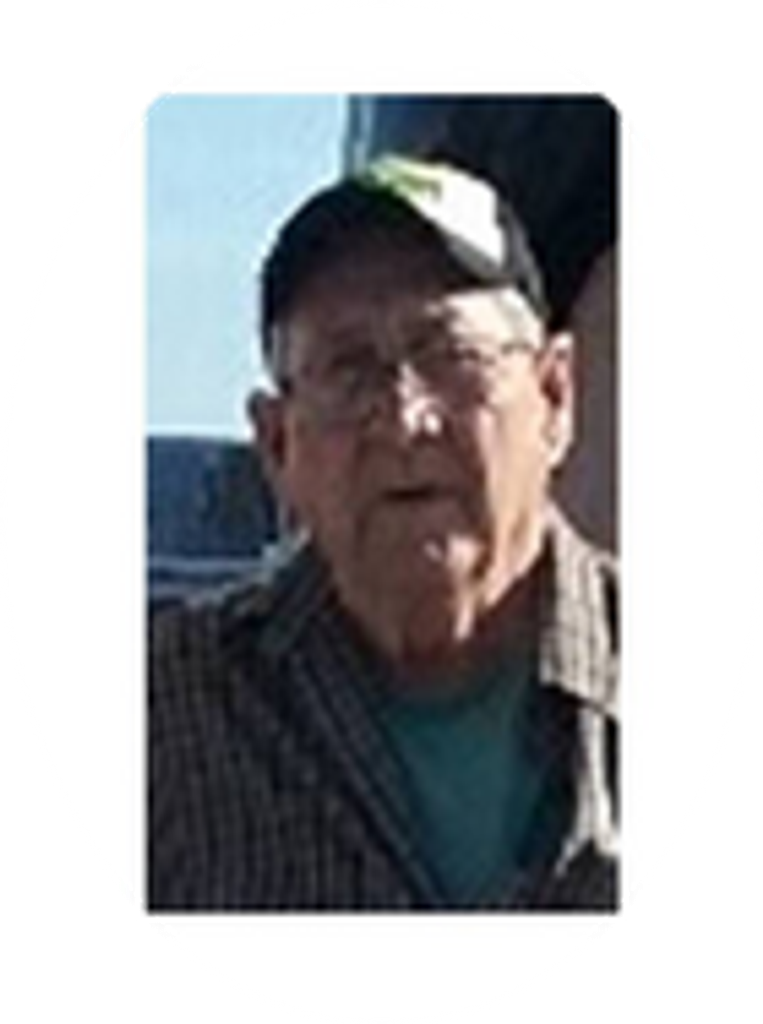 D.W. Armour
