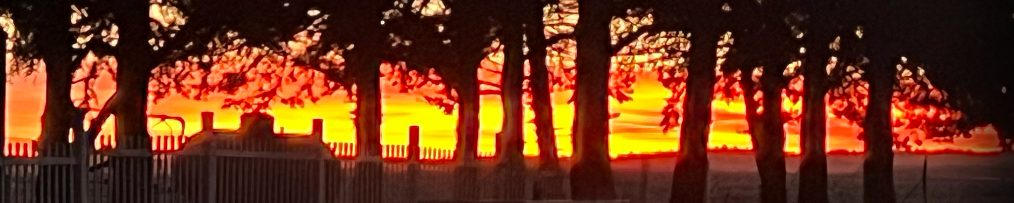 Cover for Lee Power's Obituary