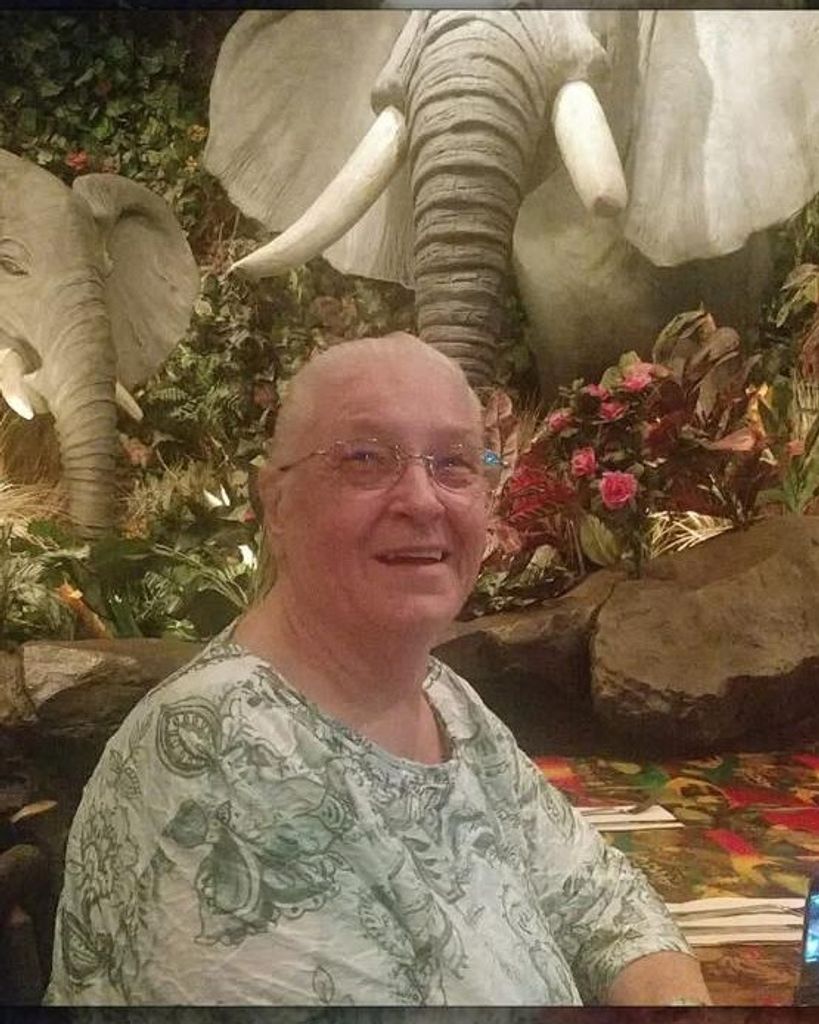 Sandra Amelia Ashbolt