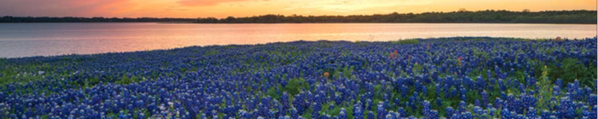 Cover photo for Guy Nolan Bagwell's Obituary
