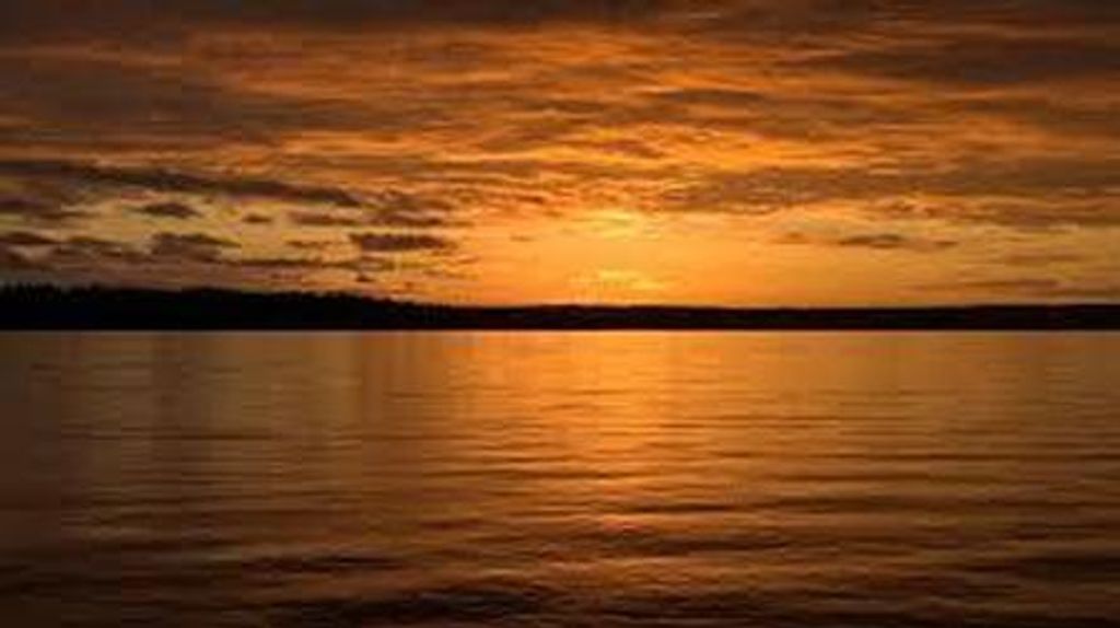 Brandon Mikal Walker Profile Photo