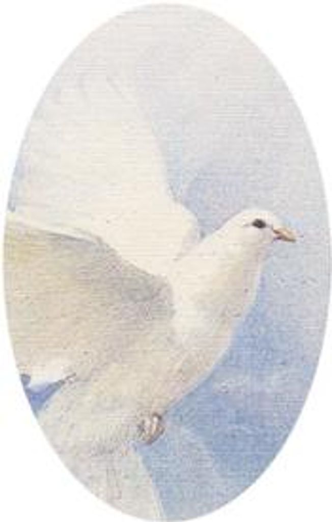 Alvina S. Koehn Profile Photo