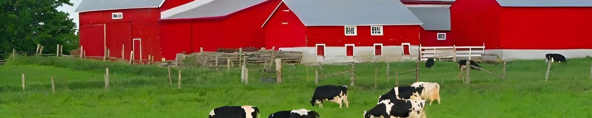 Cover for James "Jim" R. Beehler's Obituary