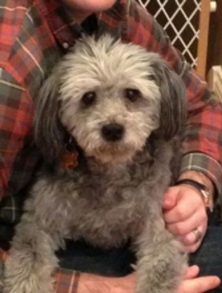 Dixie Semrinec Profile Photo