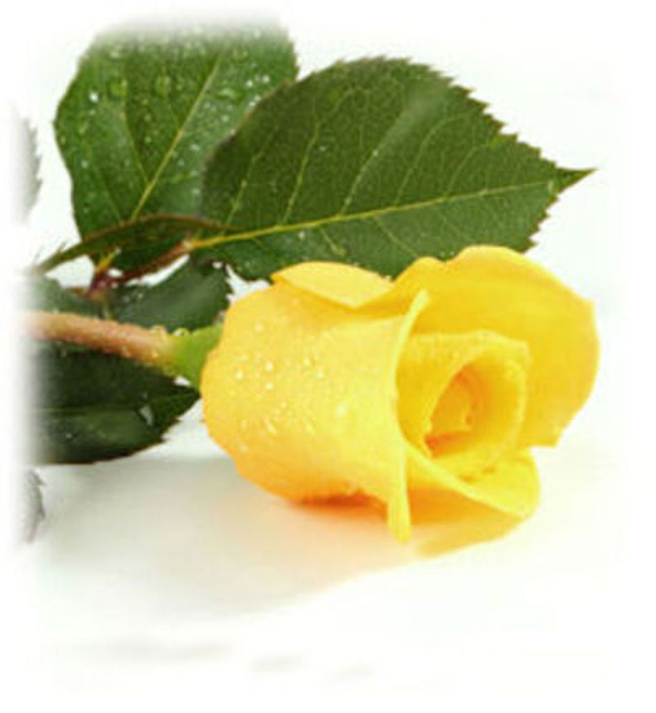Betty Lou Osbin Profile Photo