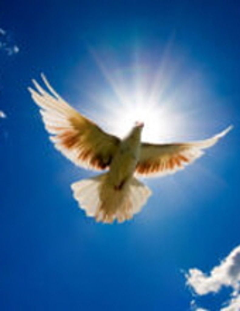 Marjorie A. “Marge” Phend