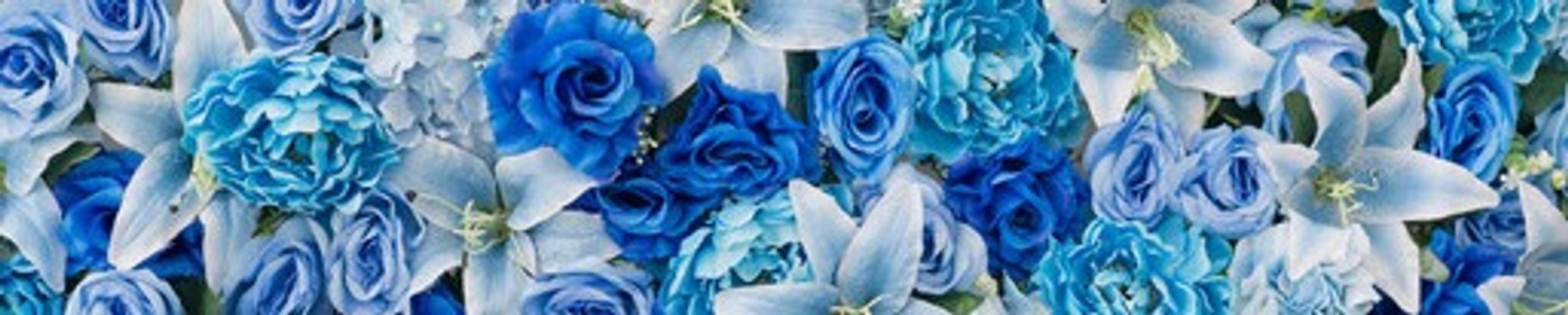 Cover for Dawn Alana Roland's Obituary