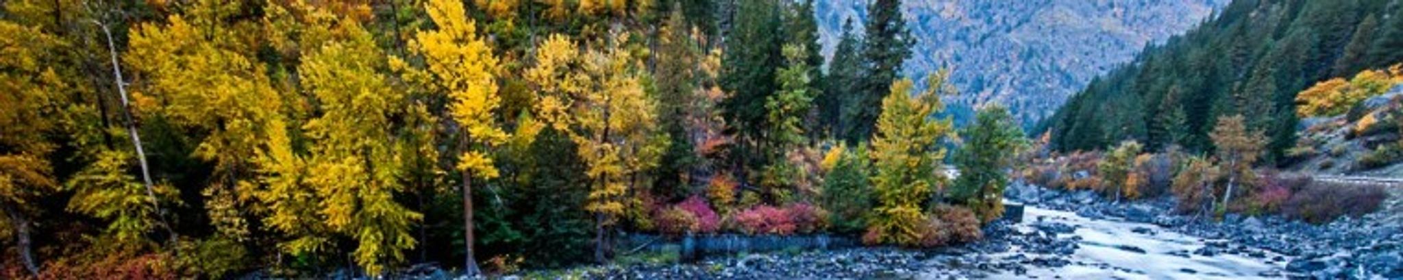 Cover photo for Alexander "Joe" Joseph Filipowicz's Obituary