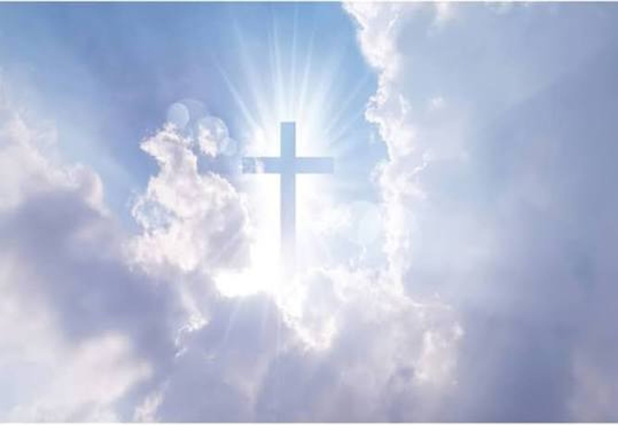Cover for Norma S. Flores's Obituary