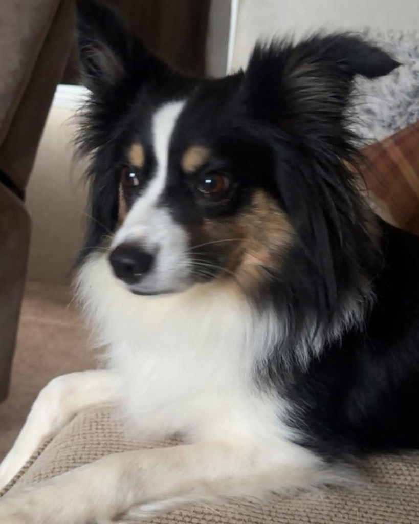 Eowyn Outlaw Profile Photo