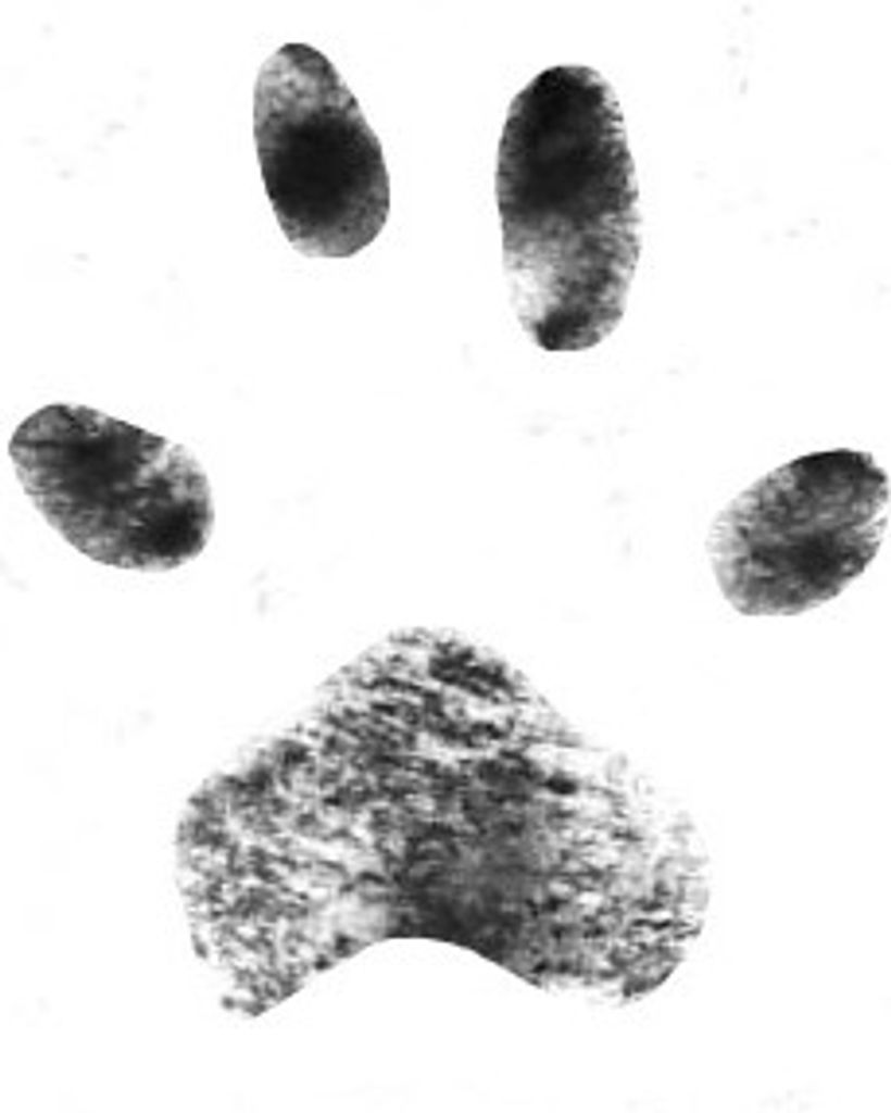 Rocky Leazer Profile Photo