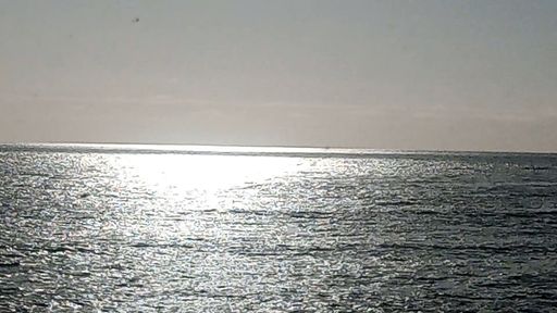 Hellen Diane Stewart Profile Photo