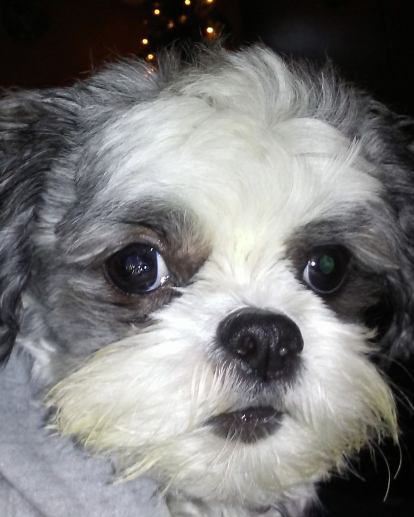 Button Spaulding Profile Photo