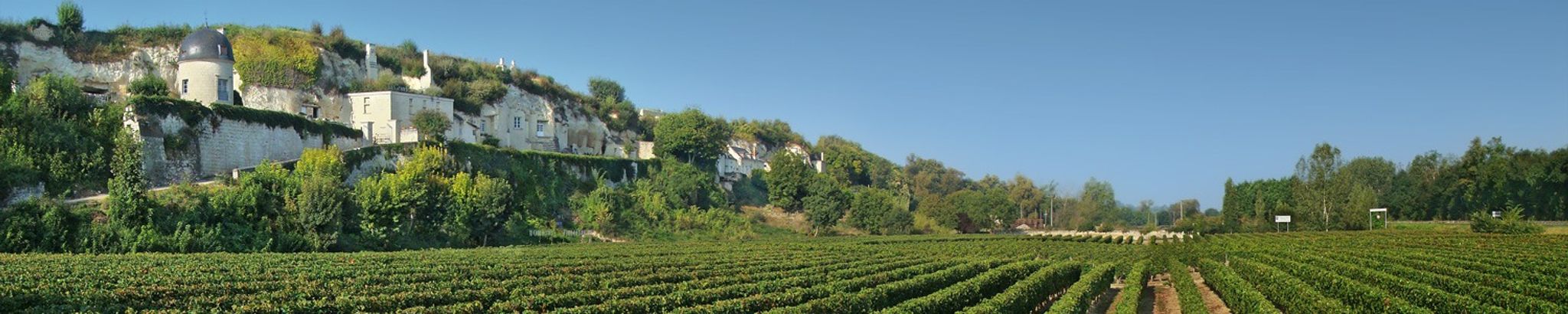 Cover for Denise Muller's Obituary