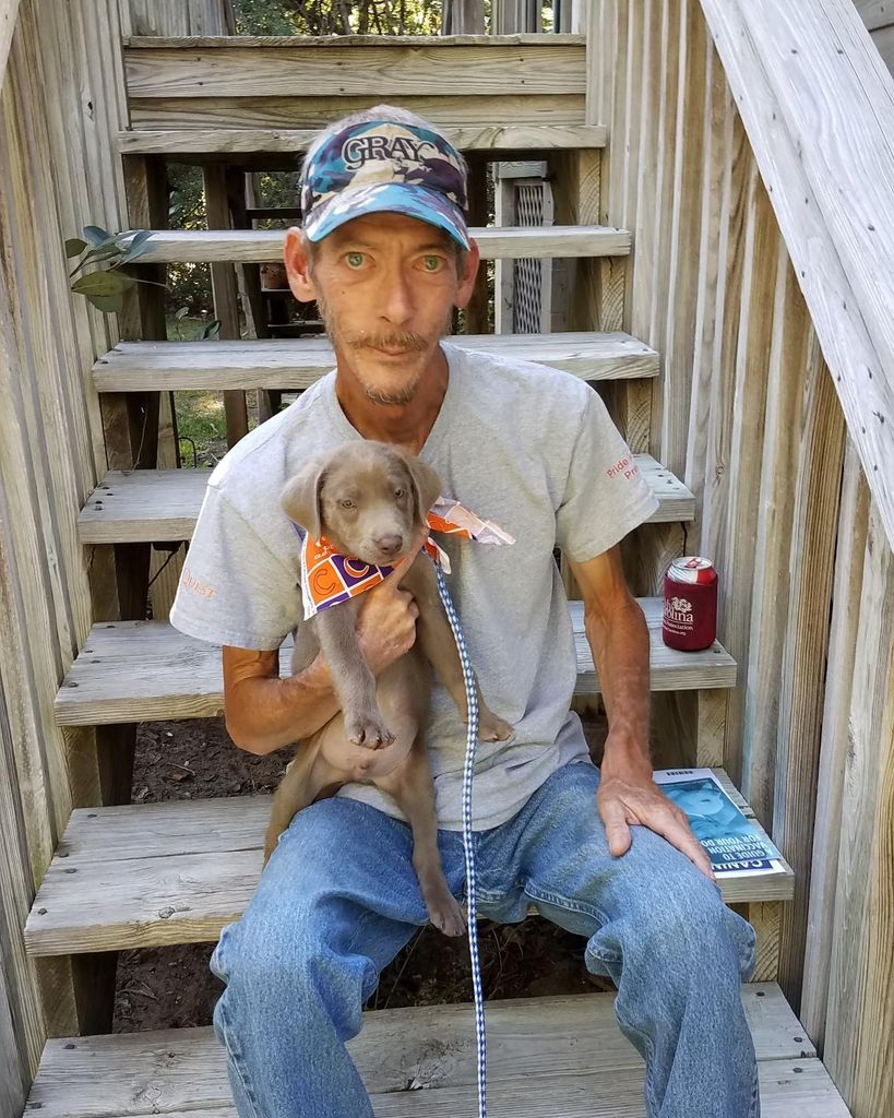 Henry Howard "Bo" Pollitzer