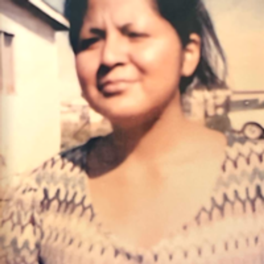 Vernelda Mae Porter