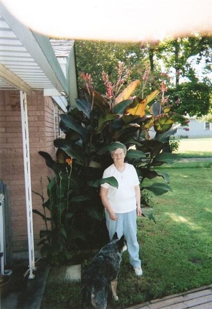 Glenna A. Davis Profile Photo