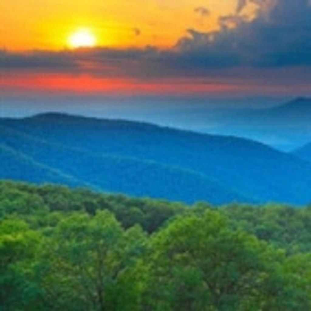 Wilfred Raymond Mcguin