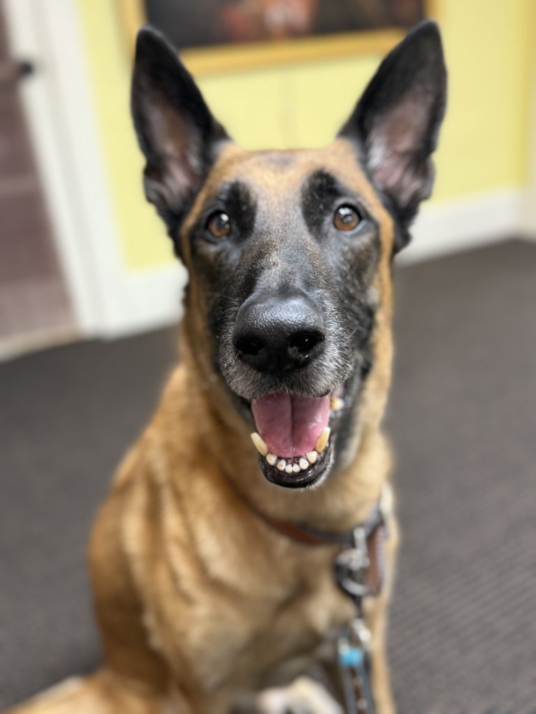 Ruben Profile Photo