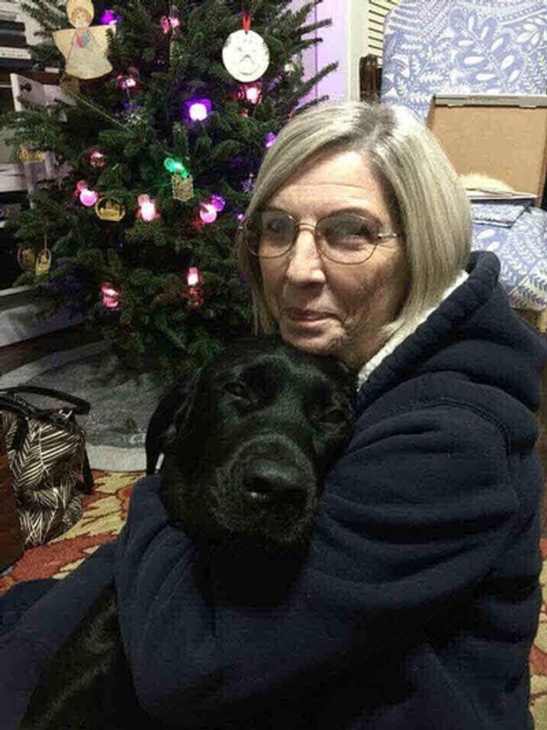 Janice Musacchia Mckinnon