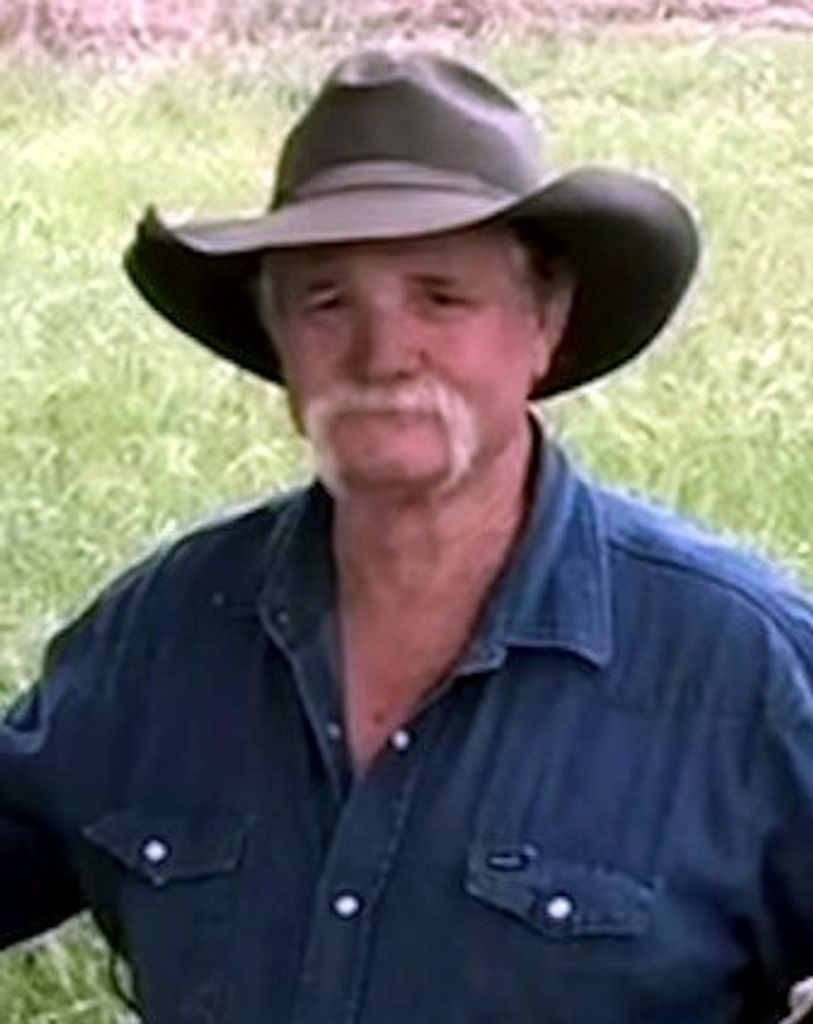 Don Haynes, Jr.