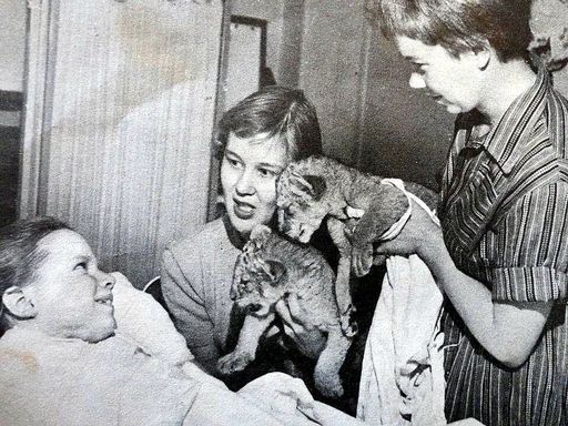 Rosemary Langsjoen photo gallery thumbnail 5 of 63
