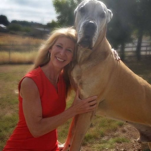 Denise Ann Williams Profile Photo
