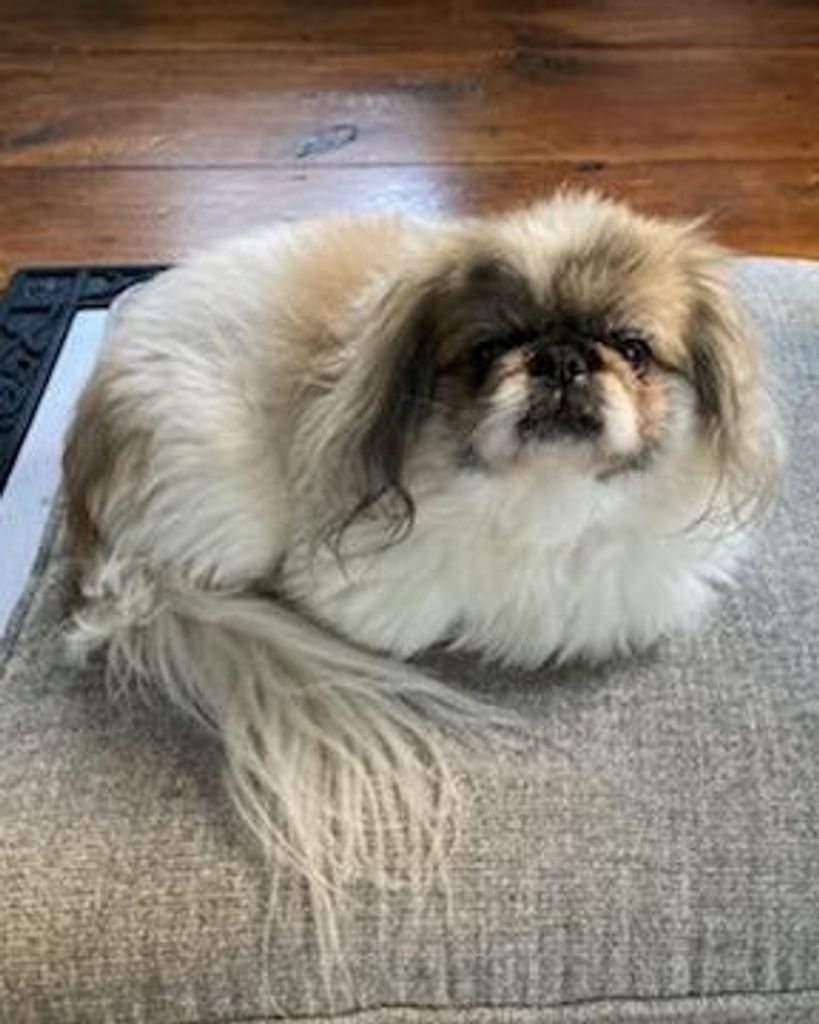 Mushu, Squire Leroux