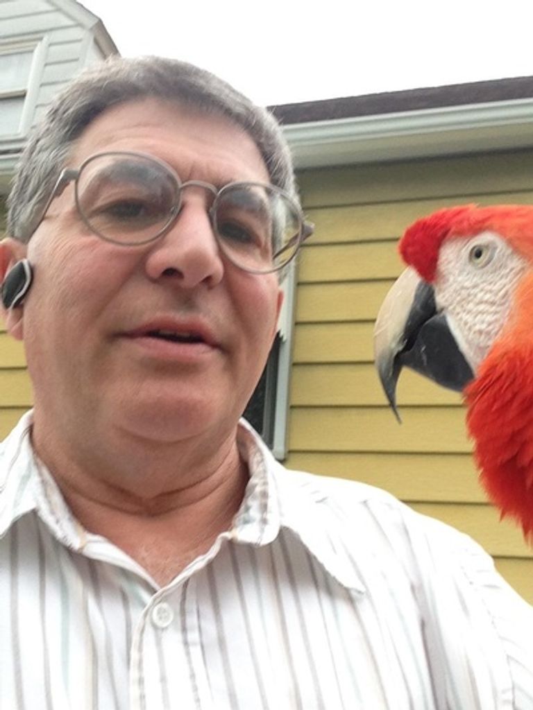 Michael Rullo Profile Photo