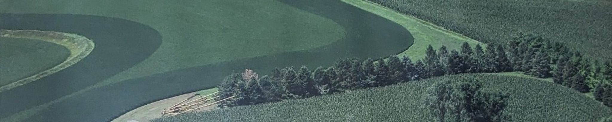 Cover for Mary Clare Klindt's Obituary