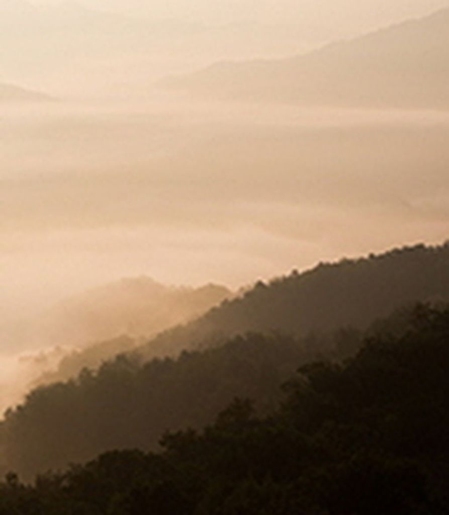 Peter Carew Profile Photo