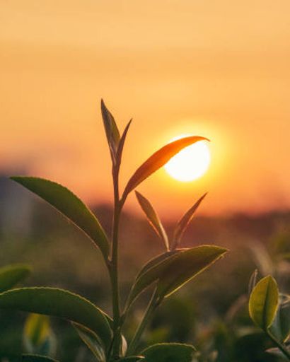 Larry "Joe" J. Winget Jr. Profile Photo