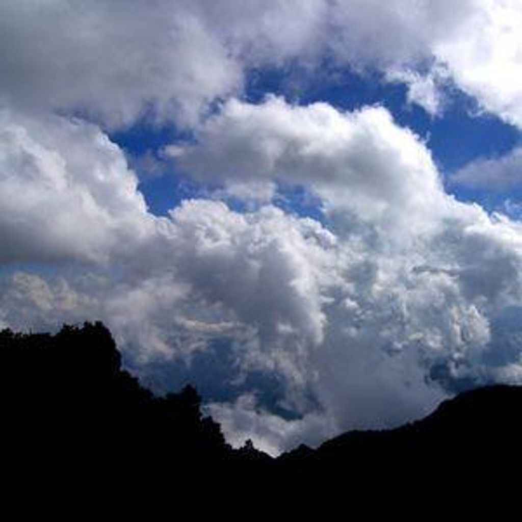 Marlene Louise Adams