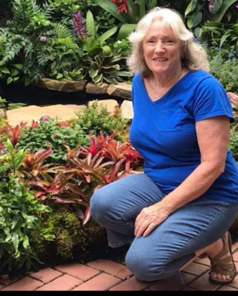 Jo Ann Webers