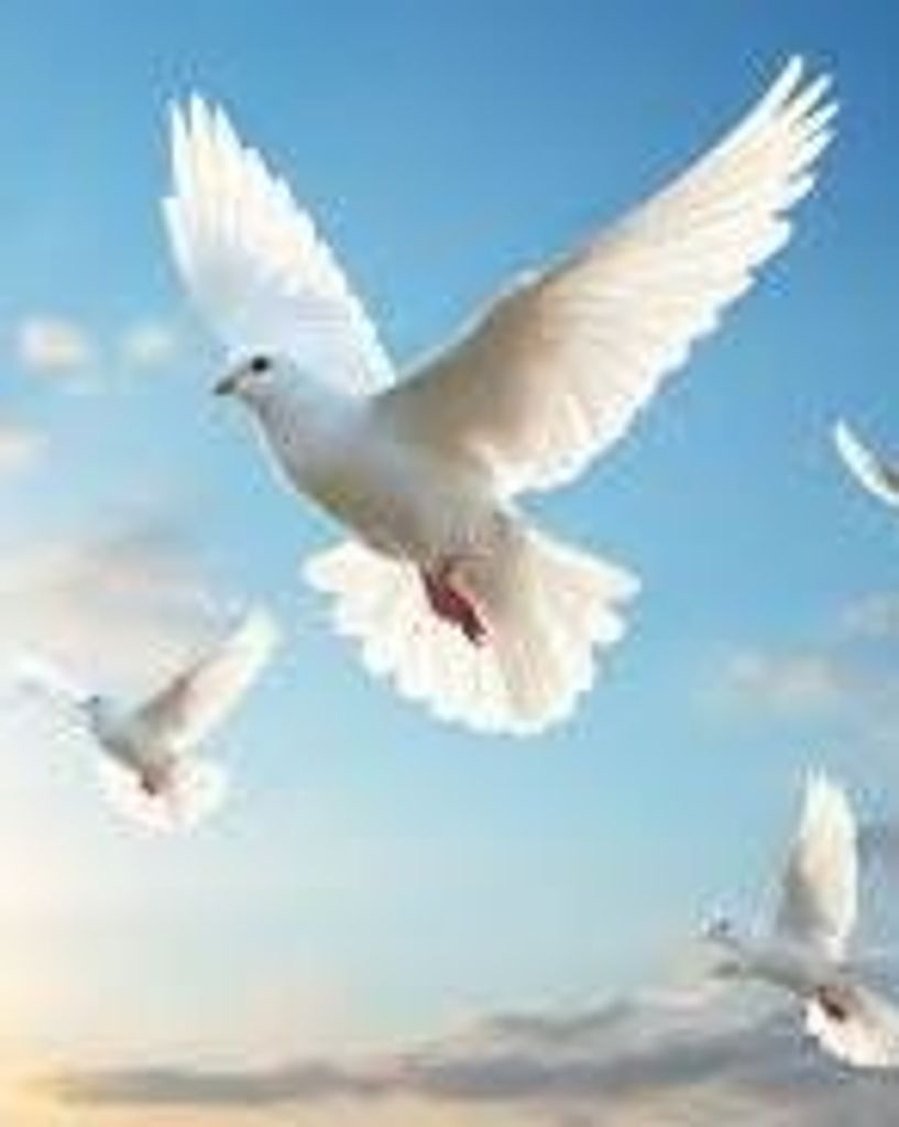 Herman H. Wise Profile Photo