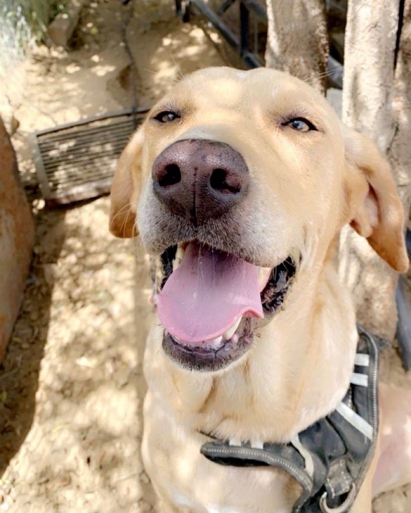 Dixie 🖤 Profile Photo