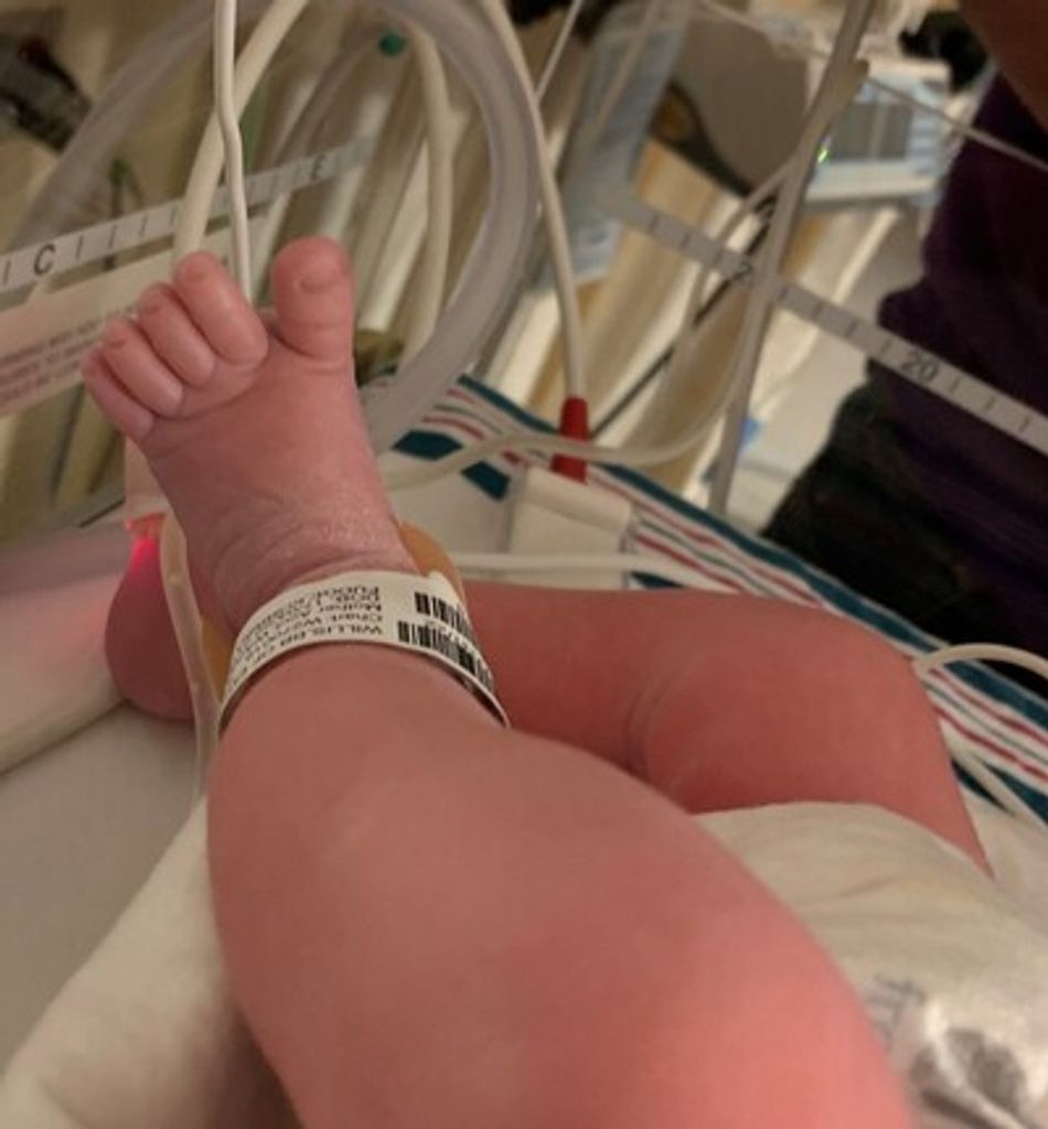 Jax Donald Alexander Benoite Profile Photo