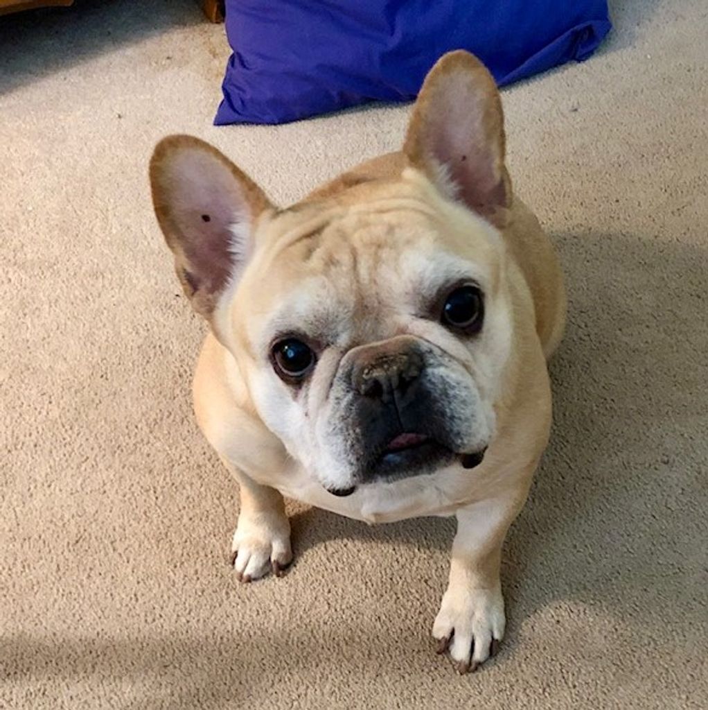 Winnie Profile Photo