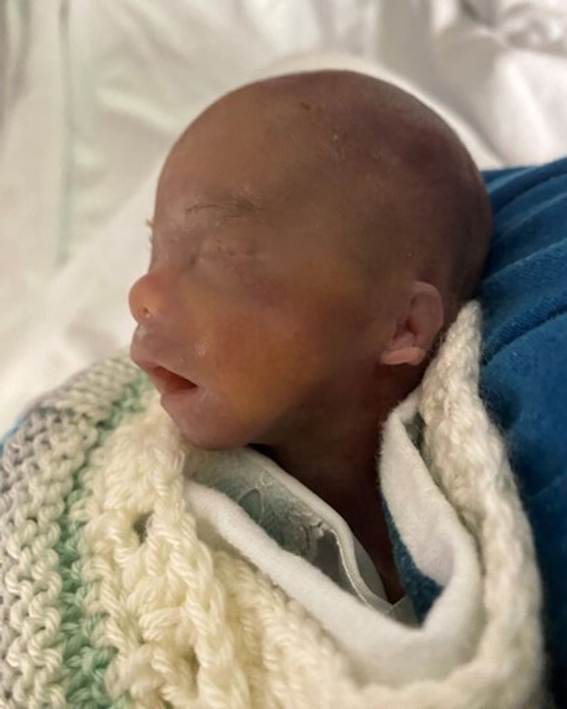 Raual Han Solo Licona