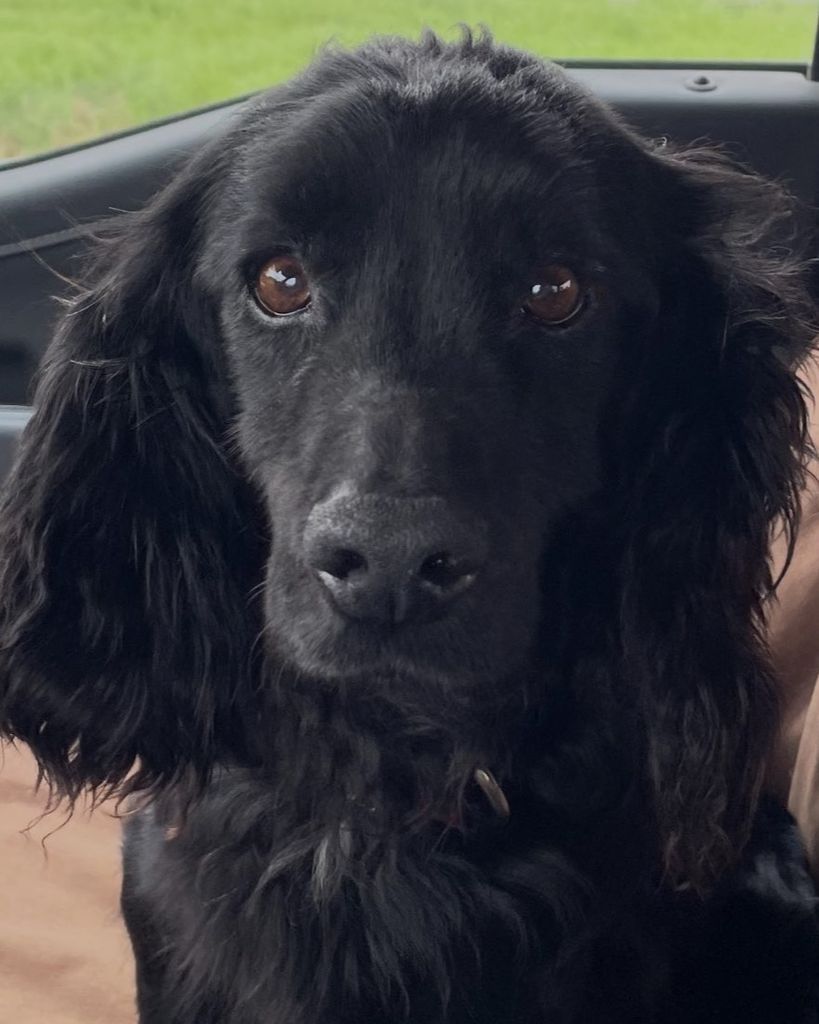 Boone Profile Photo