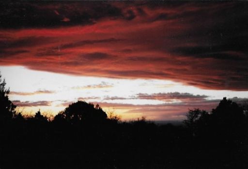 Gary Douglas Teal photo gallery thumbnail 2 of 12