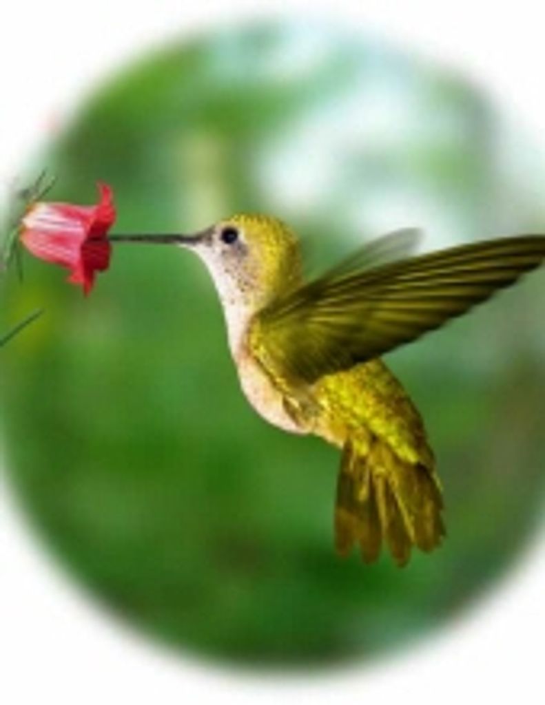 Anna Margrette Malone -Glbfh