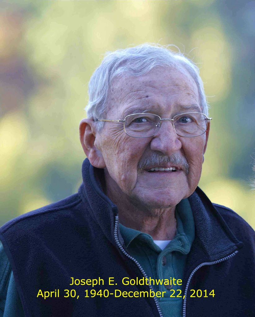 Joseph E. Goldthwaite