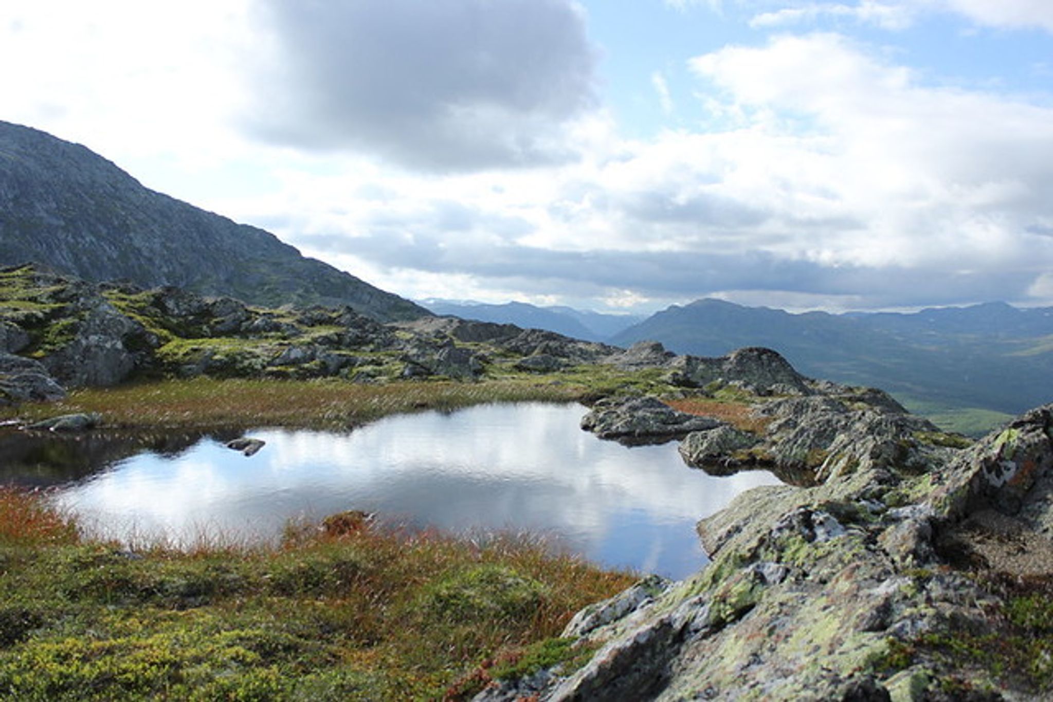 Cover photo for Barbara Hillestad's Obituary