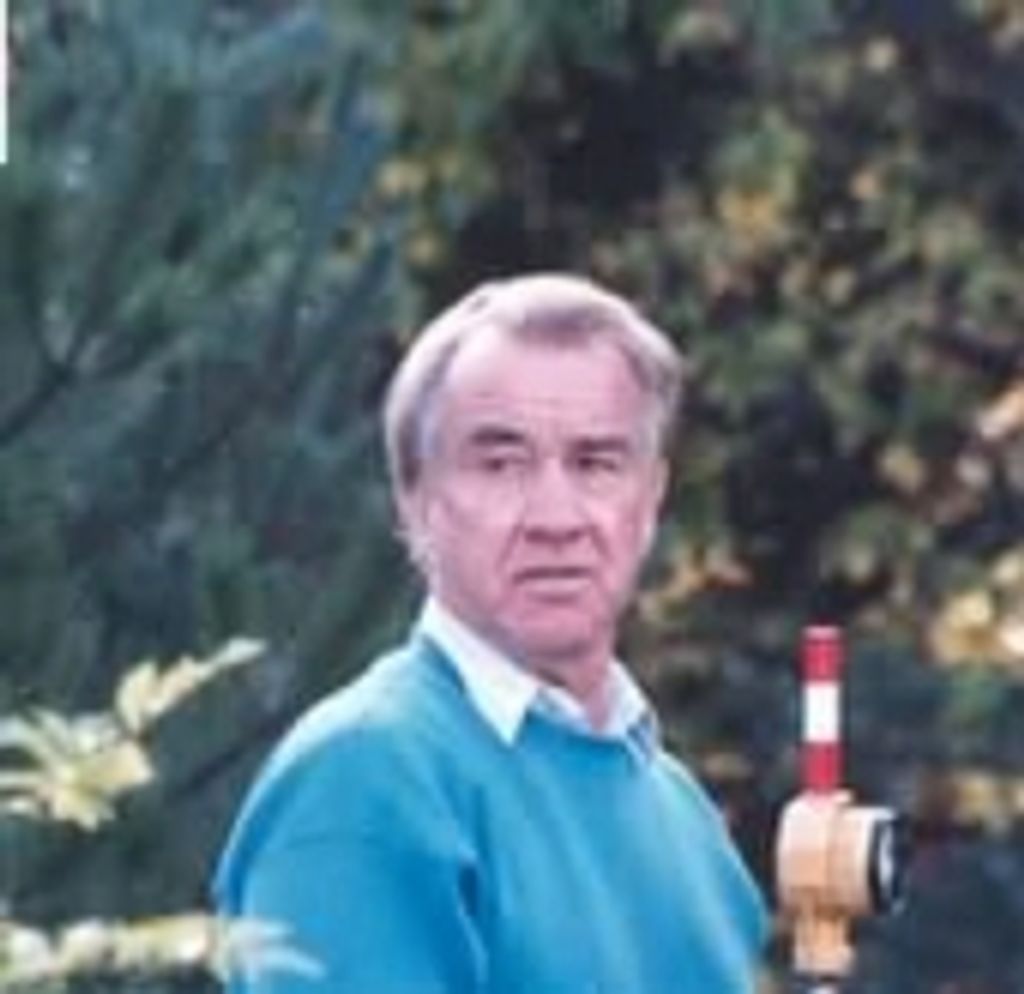 Wayne D. Mickelson