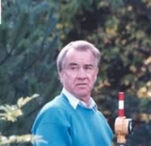 Wayne D. Mickelson Profile Photo