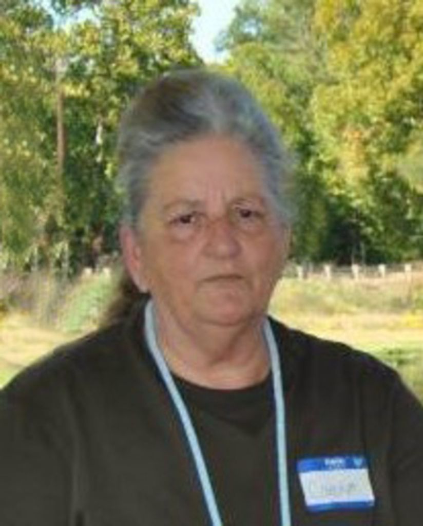 Carolyn Lane Profile Photo