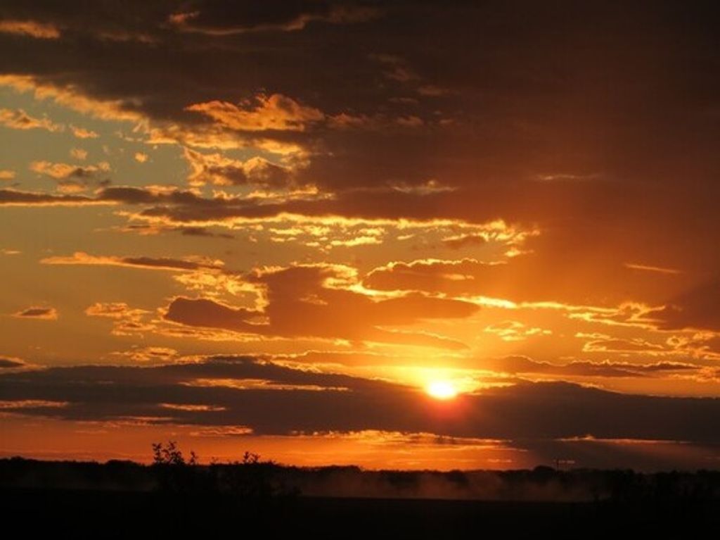 Katie M. Waldner Profile Photo